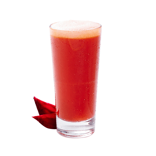 Refresher Juice 0,3l