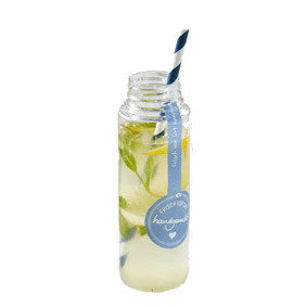 Zitronen-Minz-Wasser 0,25l
