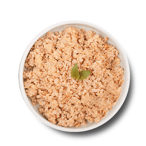 Quinoa