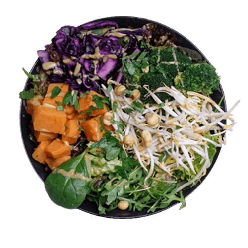Paradise Salad