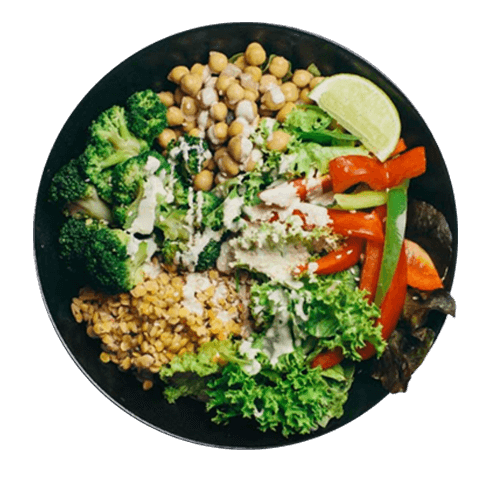 Vegan Power