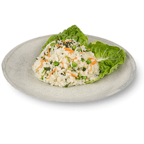 HIT! Gebratener Reis (vegan)