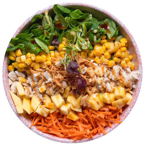 Poke Bowl Aloha Chicken