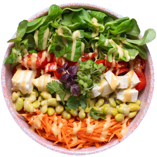Poke Bowl Kenny's Vegan