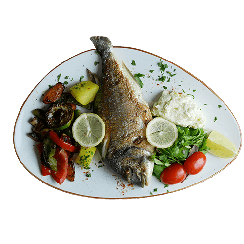 Grilled gilthead seabream