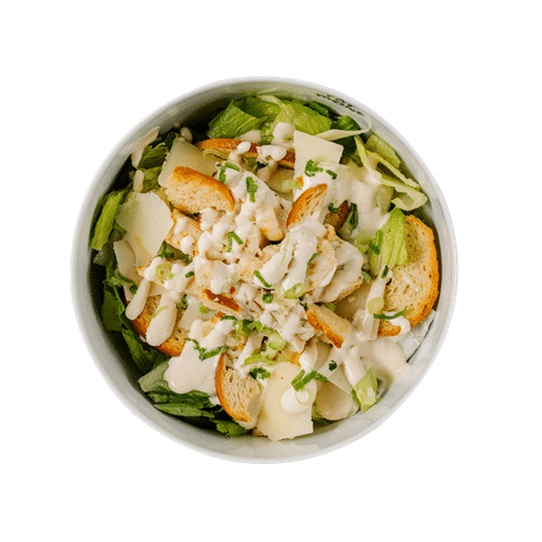 Caesar Salad Bowl (big)