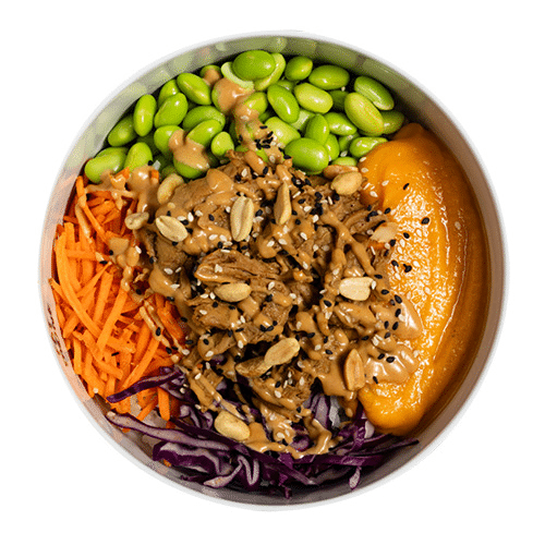 Planted Duck Bowl (big)