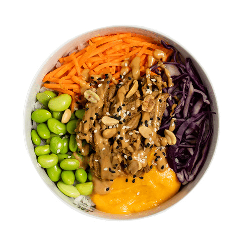 Planted Duck Bowl (not so big)