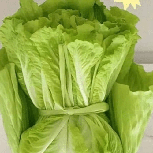 Grüner Salat