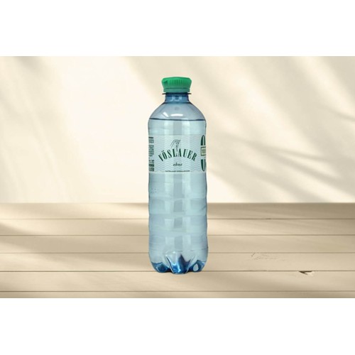 Mineralwasser still 0,5l