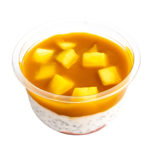 Mango Coconut Chia Pudding (vegan, glutenfrei, zuckerfrei)