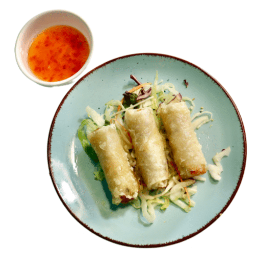 Vietnamesische Frühlingsrolle mit Huhn
