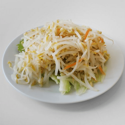 Sojasprossen-Salat