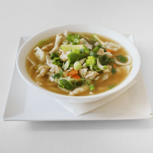 Udon-Nudelsuppe mit Hühnerfleisch
