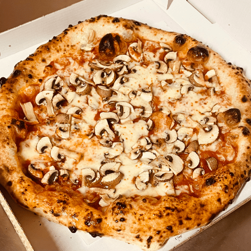 Pizza Funghi