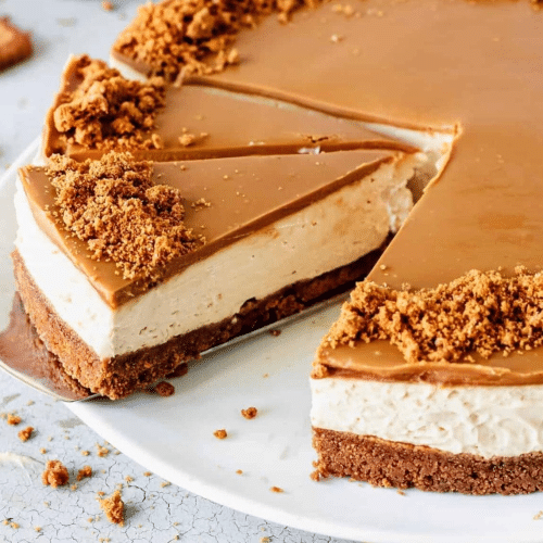 Lotus Cheescake (Hausgemacht)
