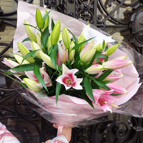 Lilien
